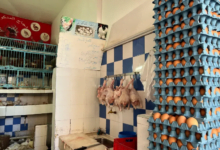 ارتفاع أسعار اللحوم البيضاء في المغرب يثير استياء المواطنين ويحفز الدعوات للتدخل الحكومي